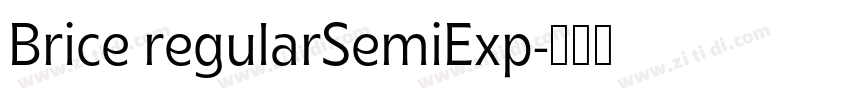 Brice regularSemiExp字体转换